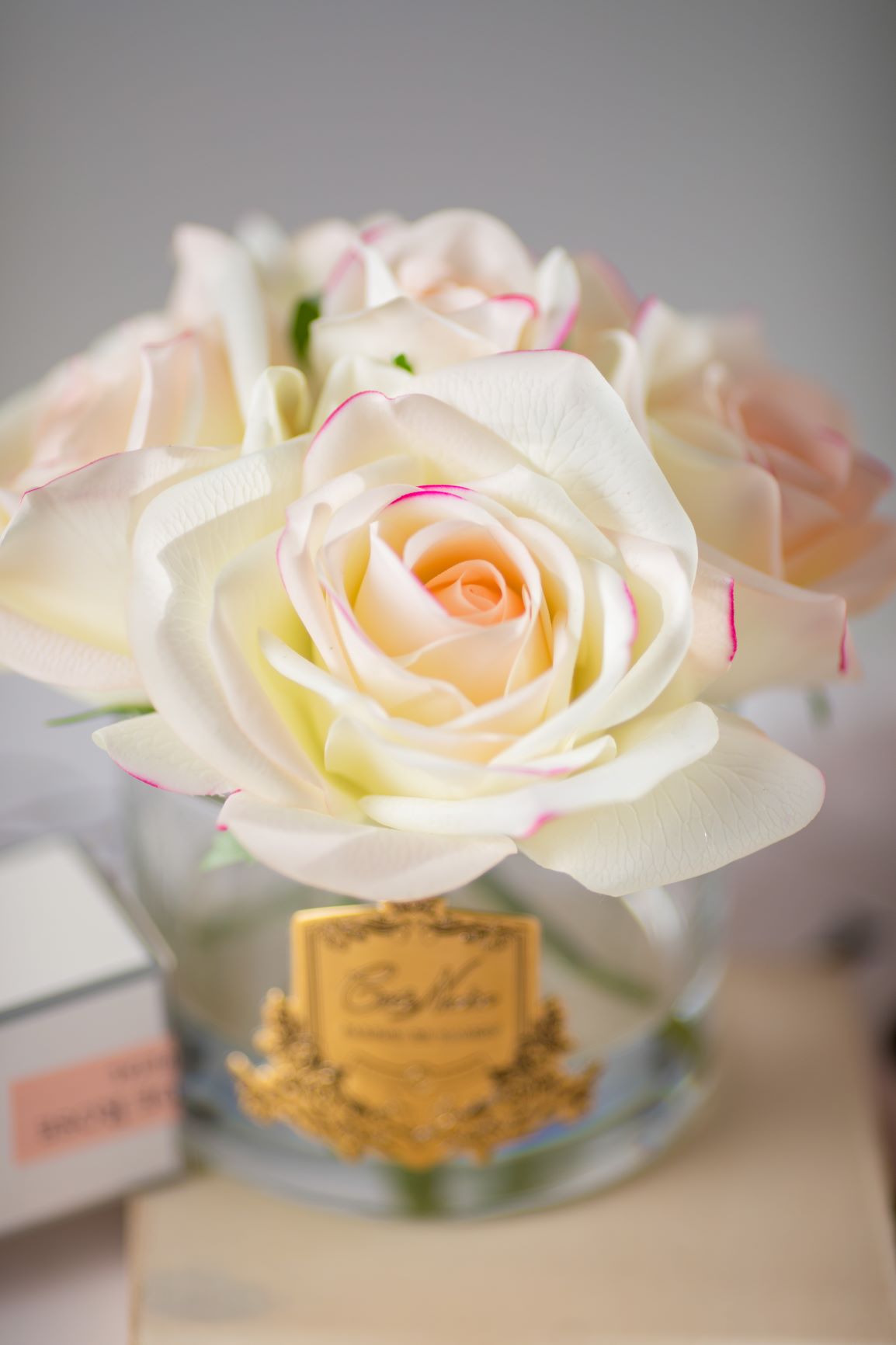Côte Noire Perfumed Flowers GMR88 5 roses rose coffret rose