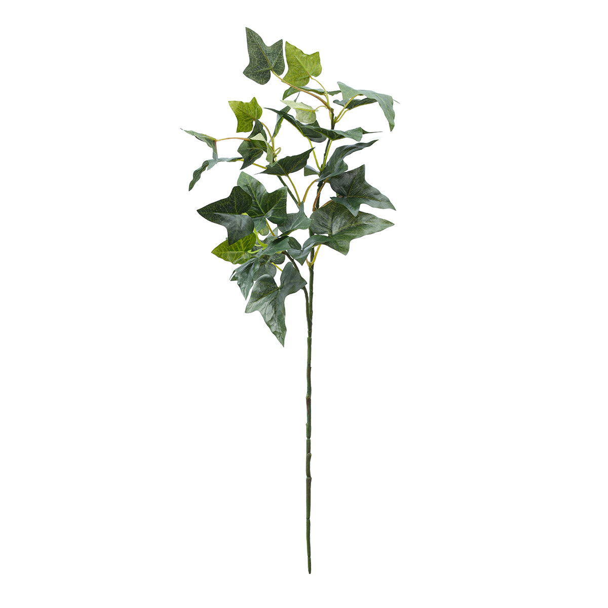 Sia Home Lierre anglais feuillage artificiel vert 61 cm