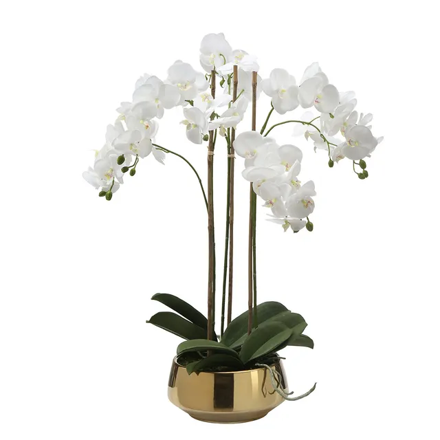 Sia Lena composition orchidée artificielle blanc vase doré
