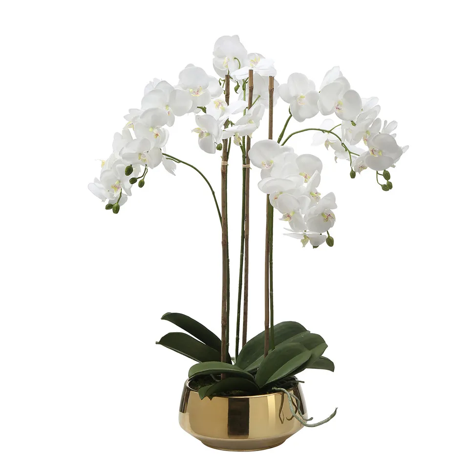 Sia Lena composition orchidée artificielle blanc vase doré