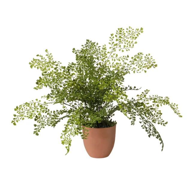 Feuillazur Rungis Felce plante artificielle vert 55 cm