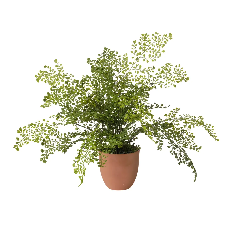 Feuillazur Rungis Felce plante artificielle vert 55 cm
