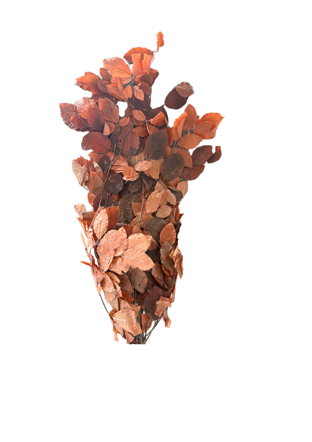 Feuillazur Rungis Fagus feuillage stabilisé vert 80cm