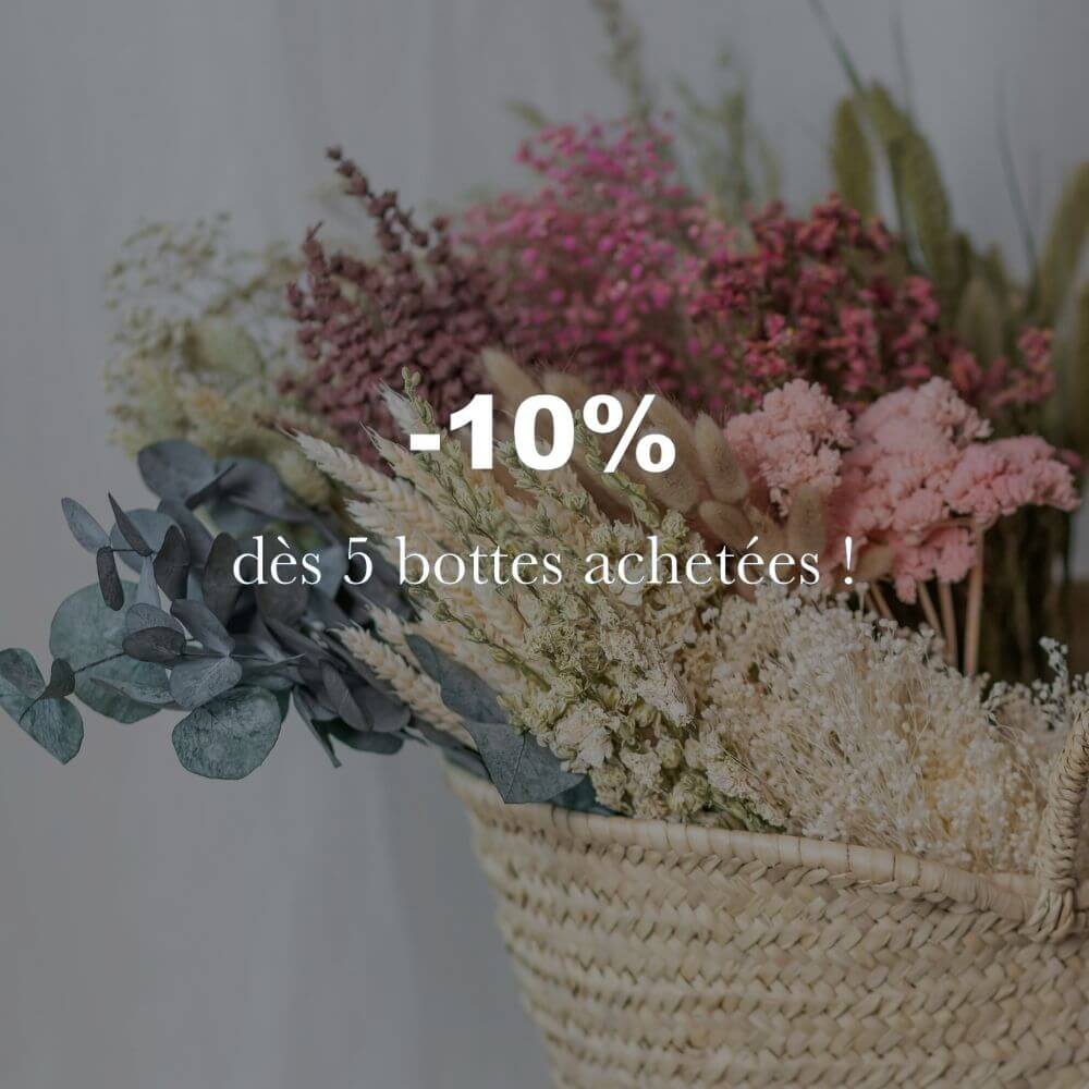 Flowrette Gypsophile Rose botte fleurs séchées x1 souple