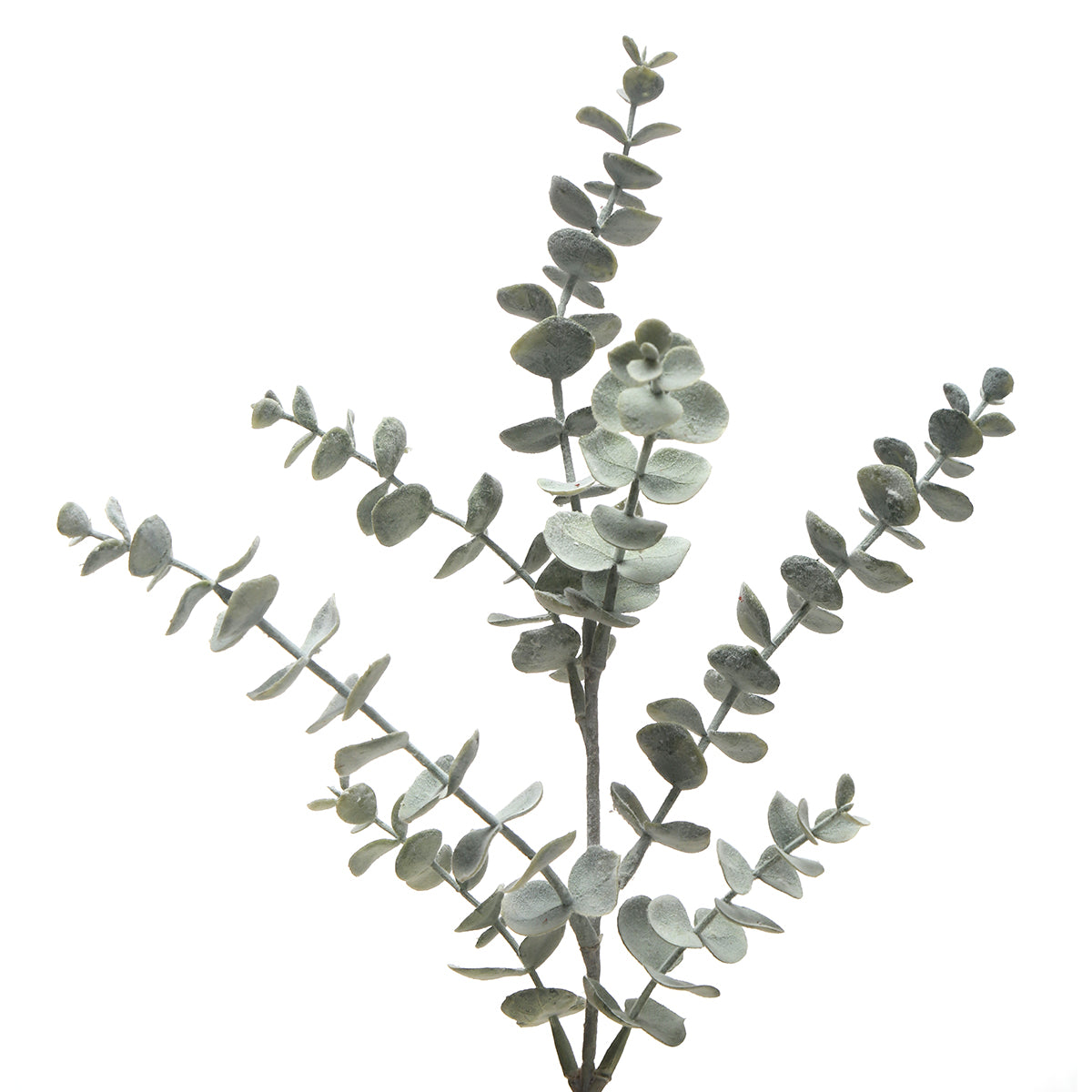 Sia Home Feuillages Eucalyptus 53cm tige verte