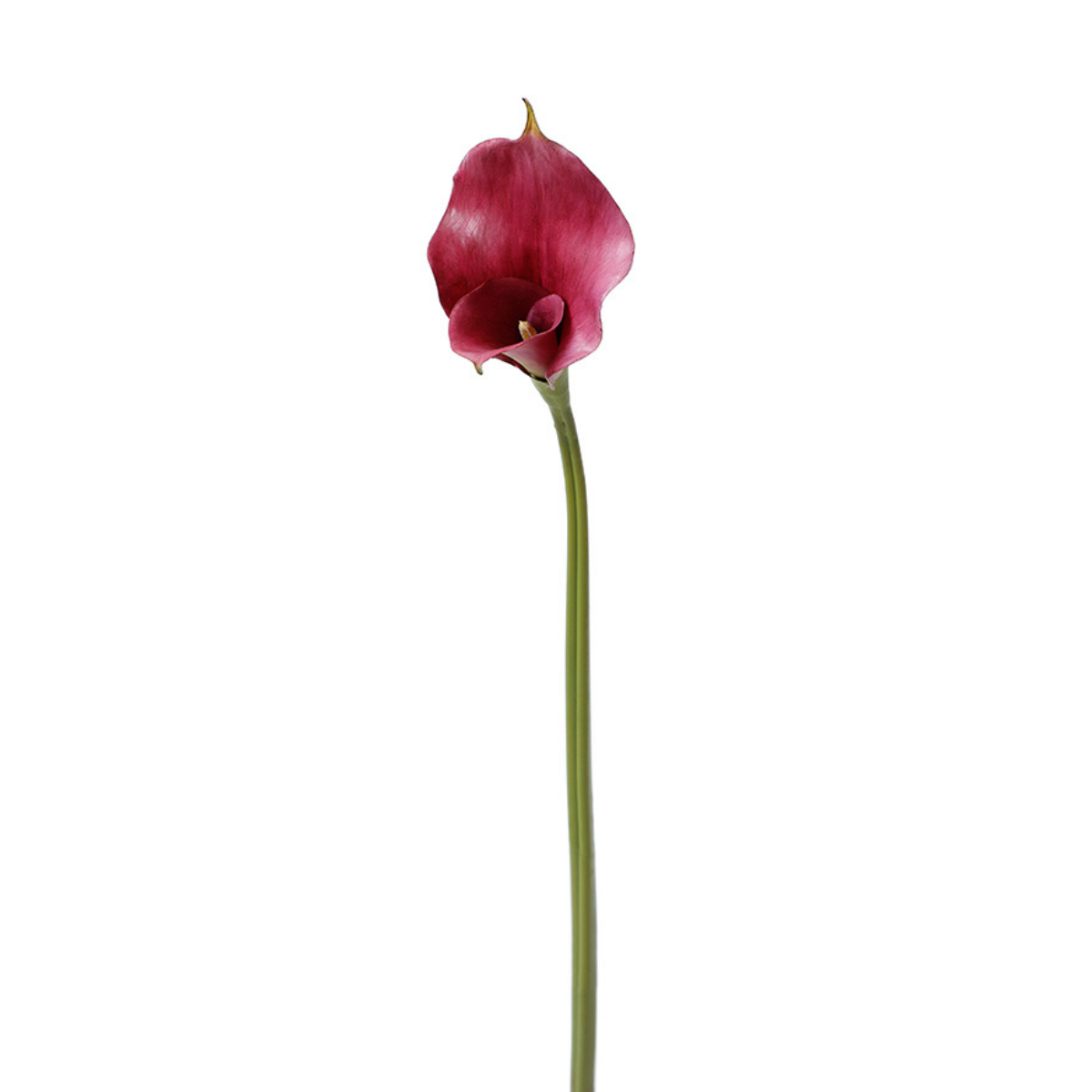 Sia Home Arum 75 cm tige artificielle bordeaux