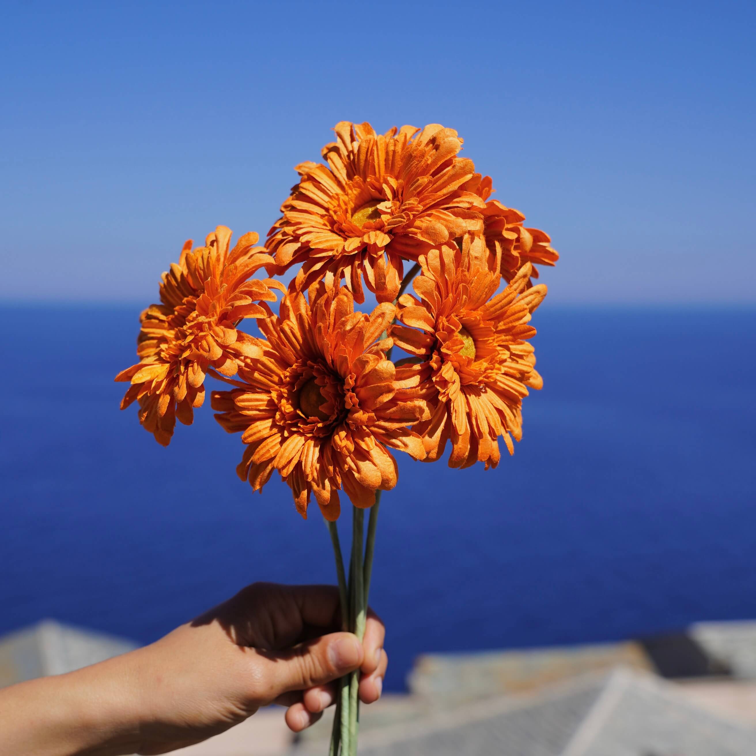 Flowrette Fleurs en papier gerbera orange fleur x1
