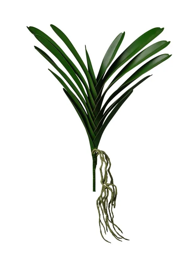 Feuillazur Rungis Feuille d'orchidée artificielle vert 53cm