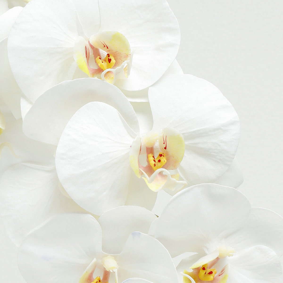Sia tige orchidée artificielle blanche 100 cm premium