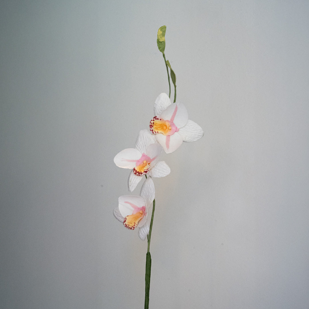 Flowrette Vanda orchidée papier blanc x1 éternelle