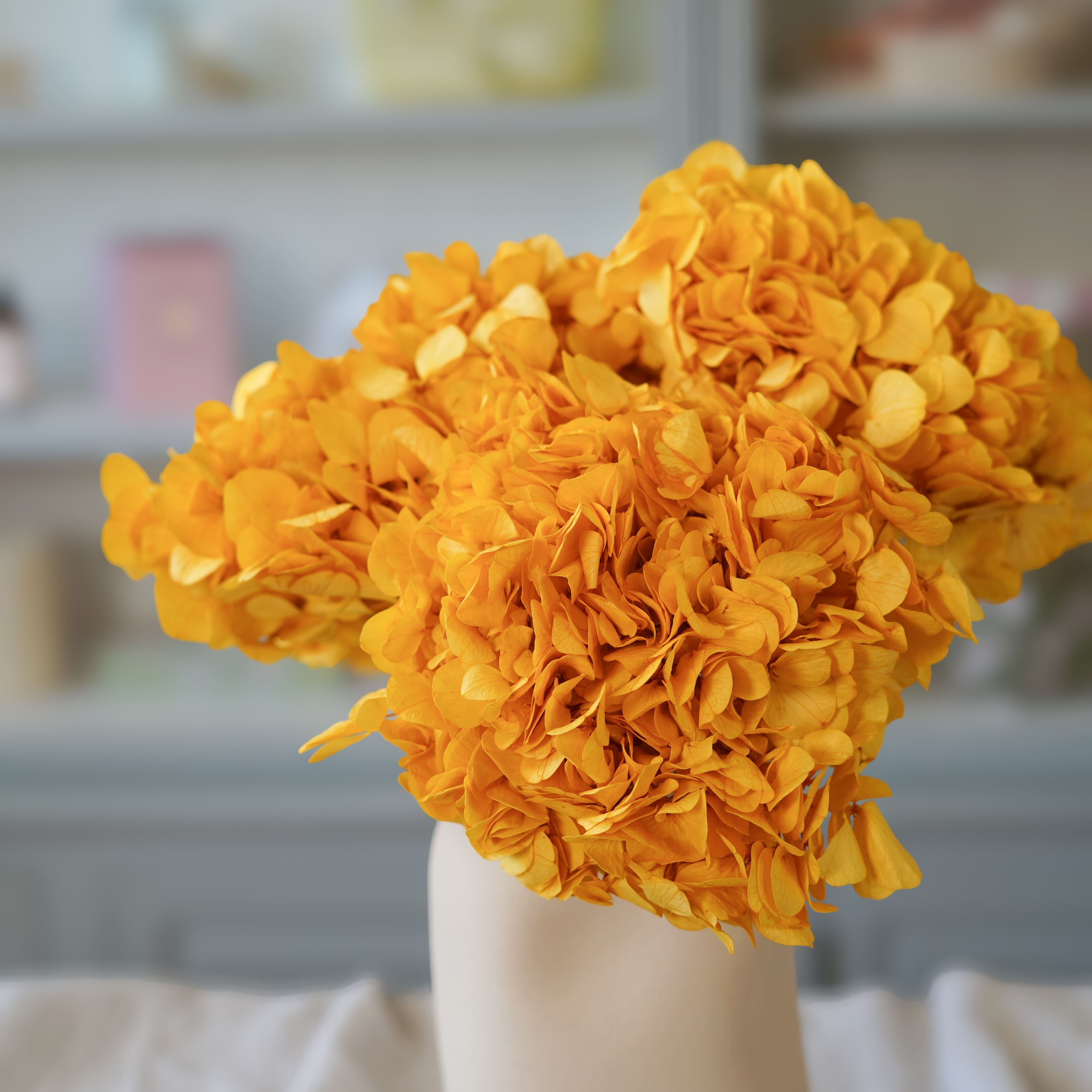 Flowrette Hortensia jaune moutarde fleur stabilisée tige salon