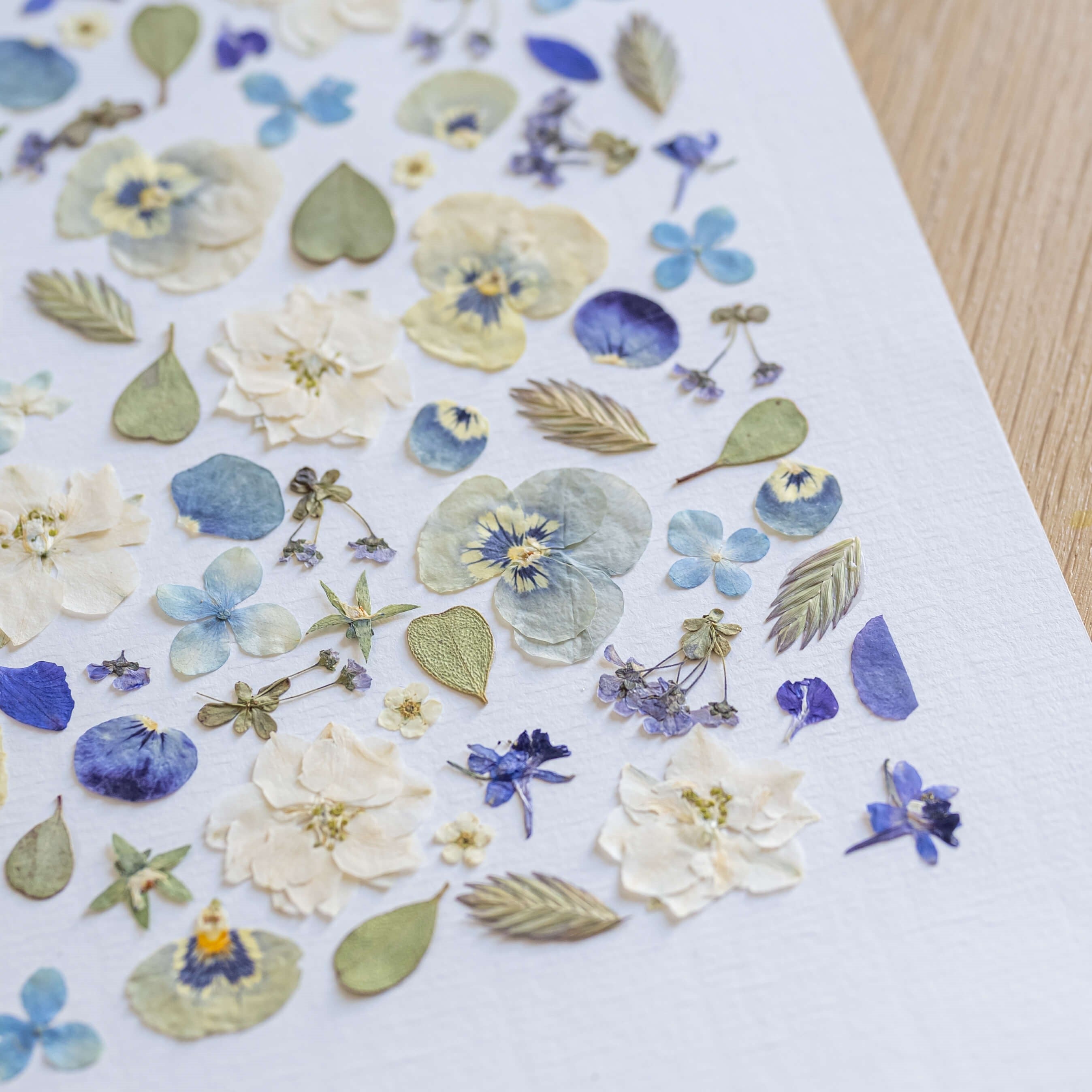Flowrette Idylle Provençale herbier A4 fleurs séchées