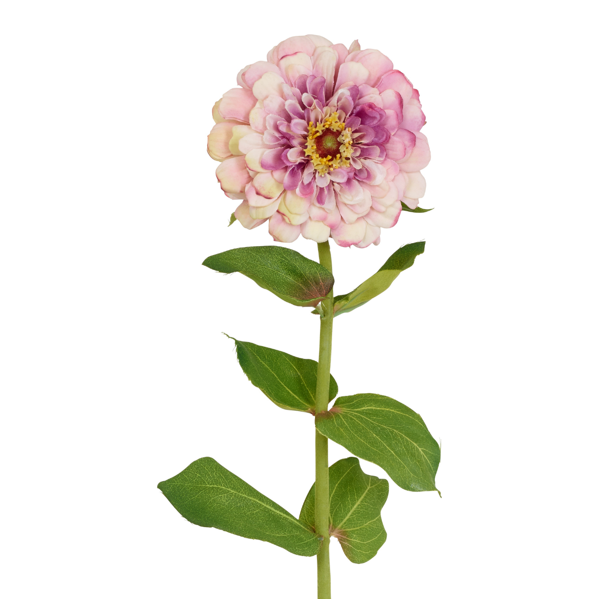 Sia Home Tiges Zinnia tige fleur artificielle orange 68 cm