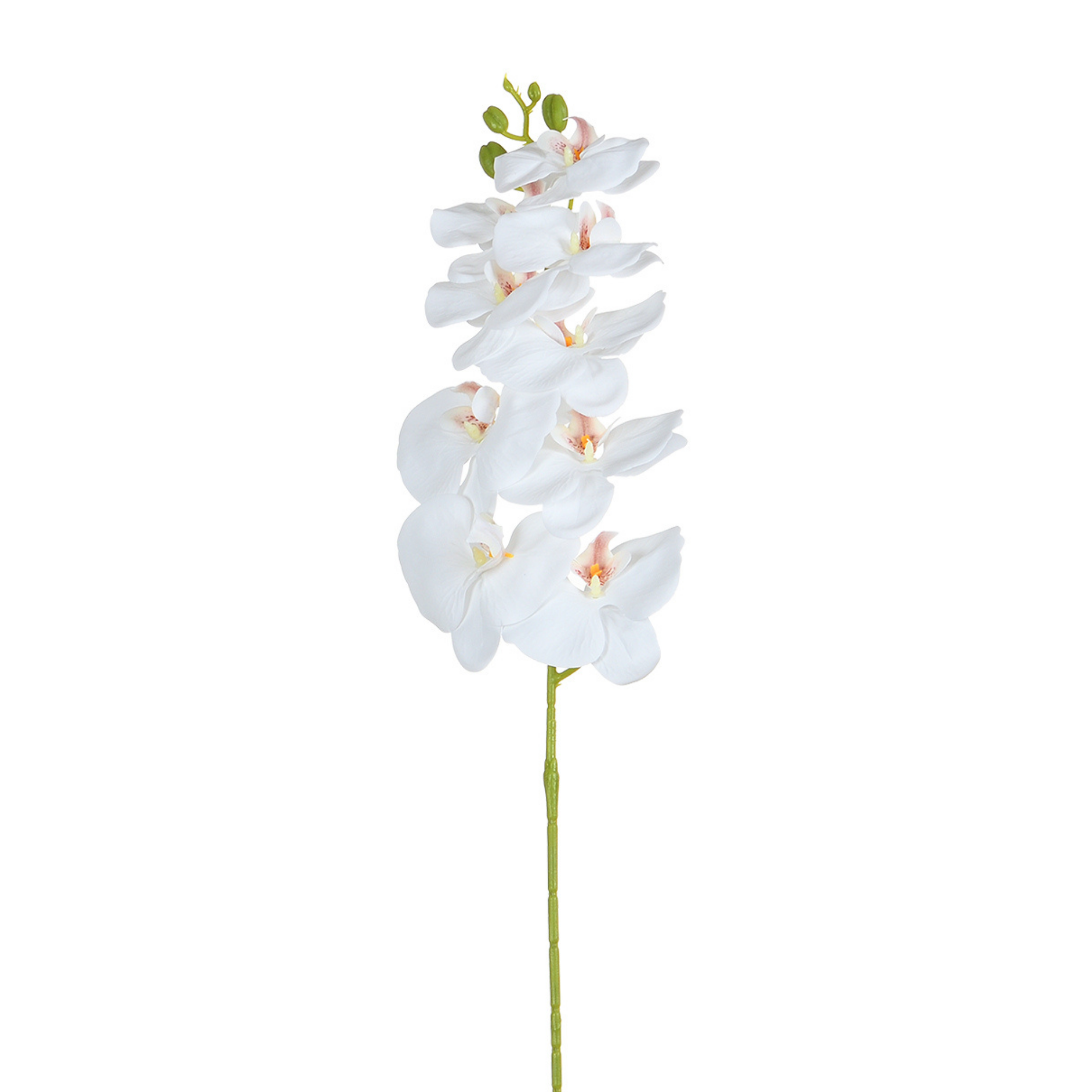 Sia Home Tiges de Fleurs Orchidée 90 cm tige blanc et jaune