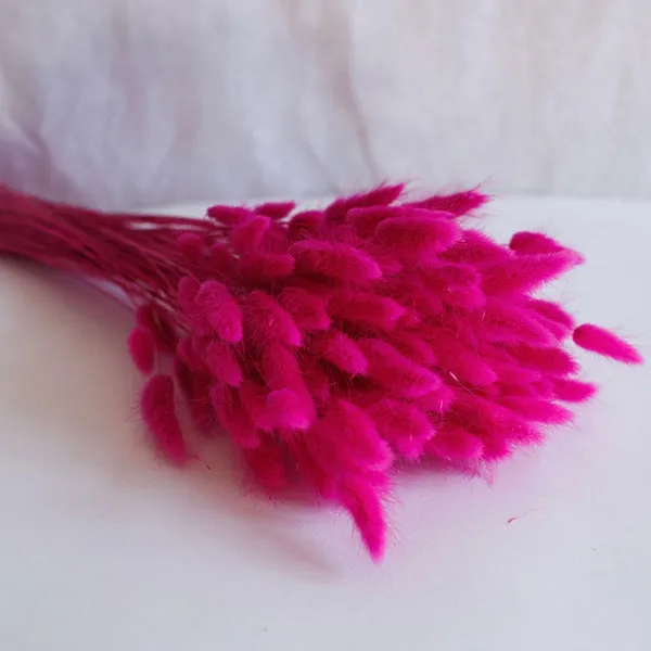 Flowrette Lagurus bouquet fleurs séchées fuchsia queue-lièvre