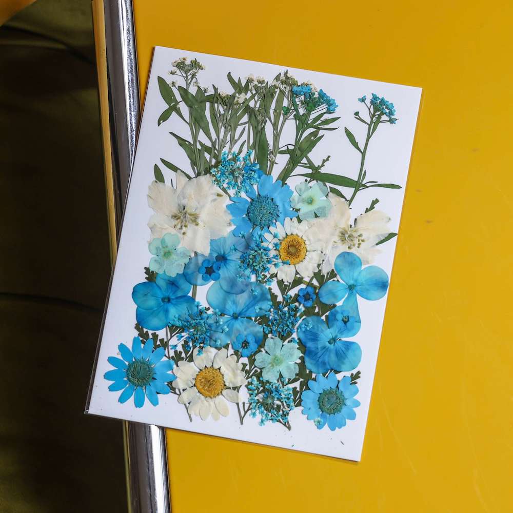 Flowrette pochette fleurs pressées bleues kit herbier