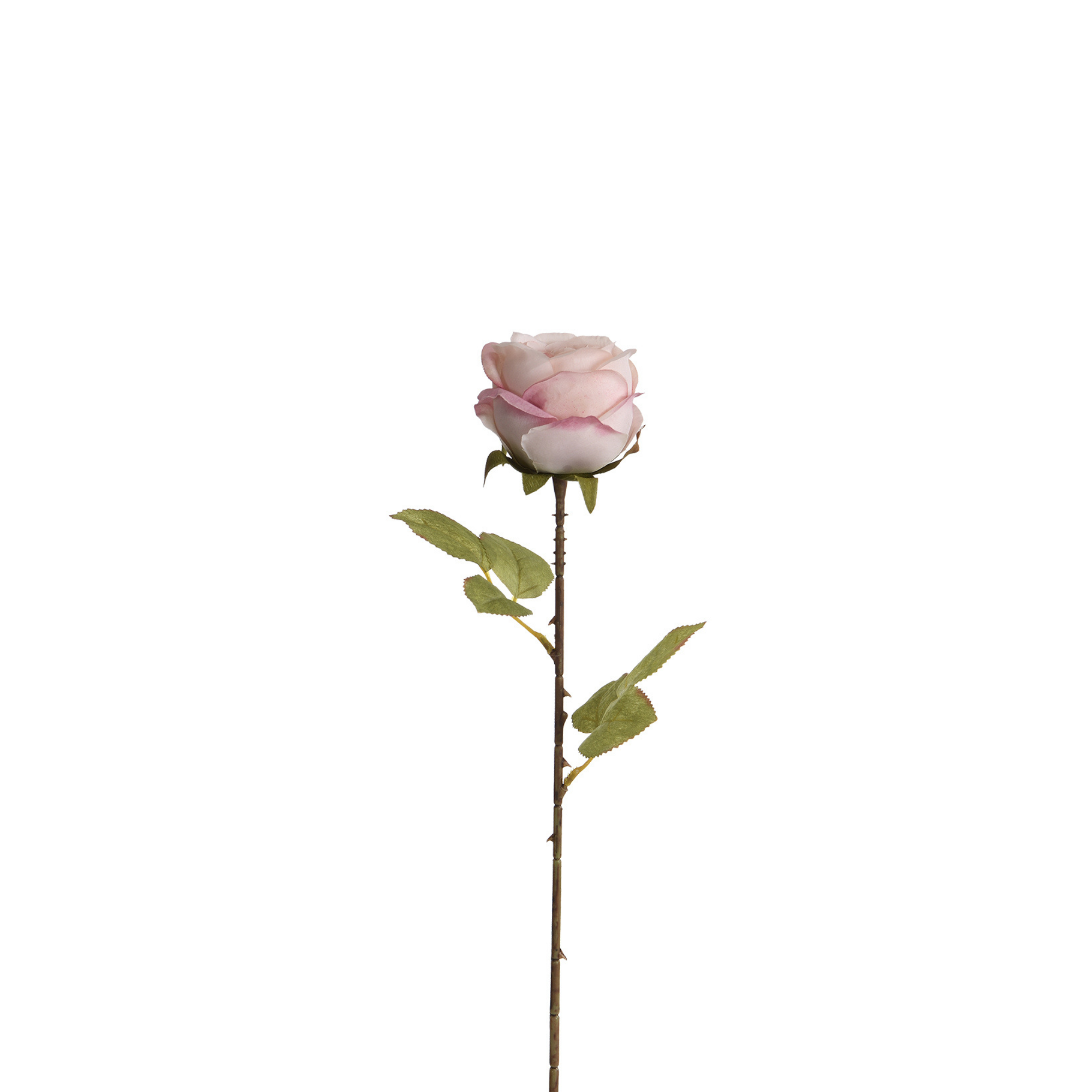 Sia Home Tige de Rose fleur artificielle rose 56 cm