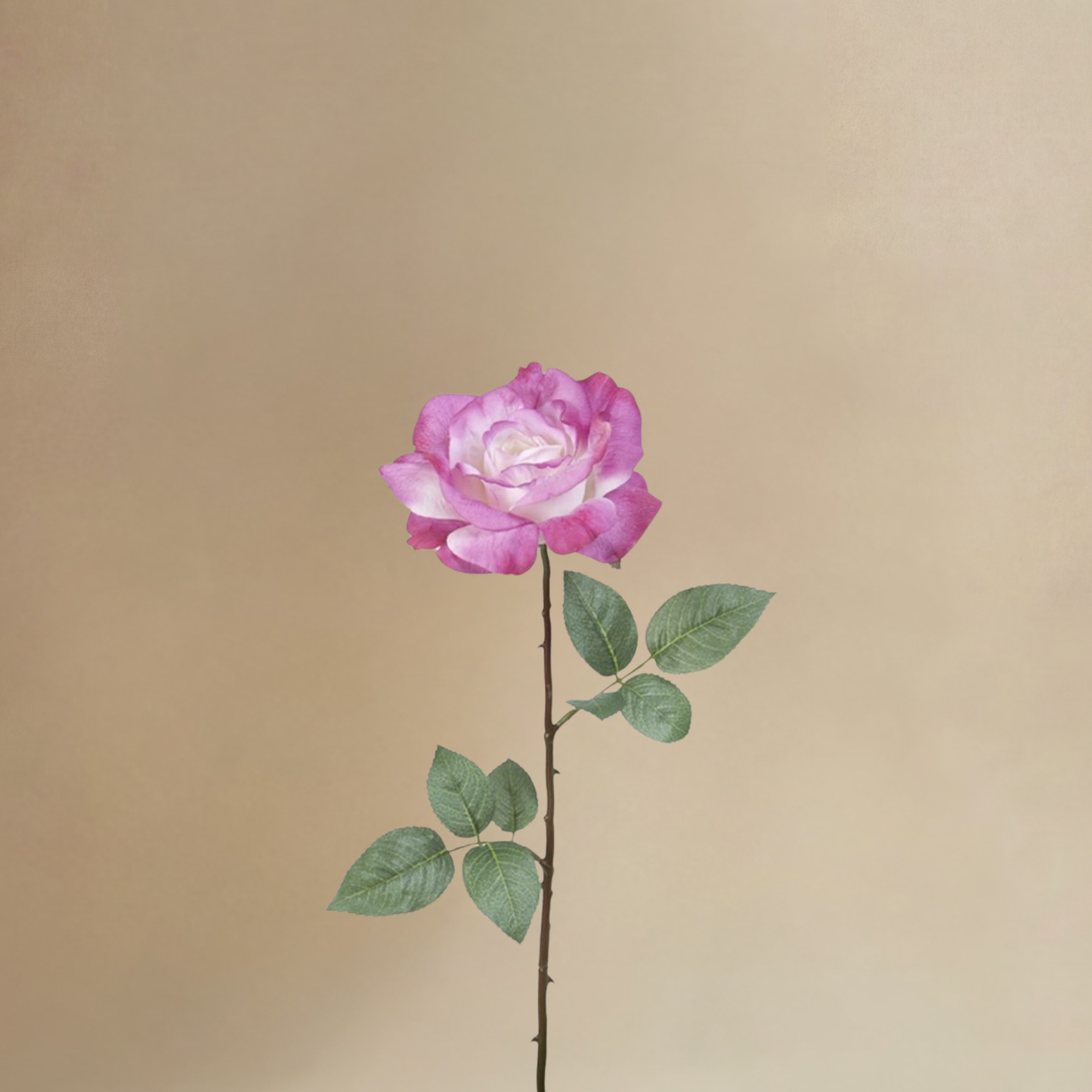 Sia Home Sophie bouquet roses artificiel 12 tiges 64 cm