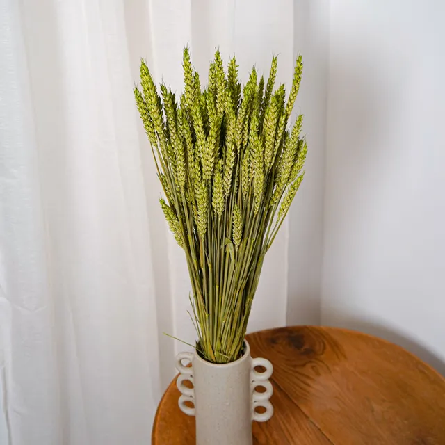 Flowrette Blé vert pâle botte fleurs séchées x1 naturelle