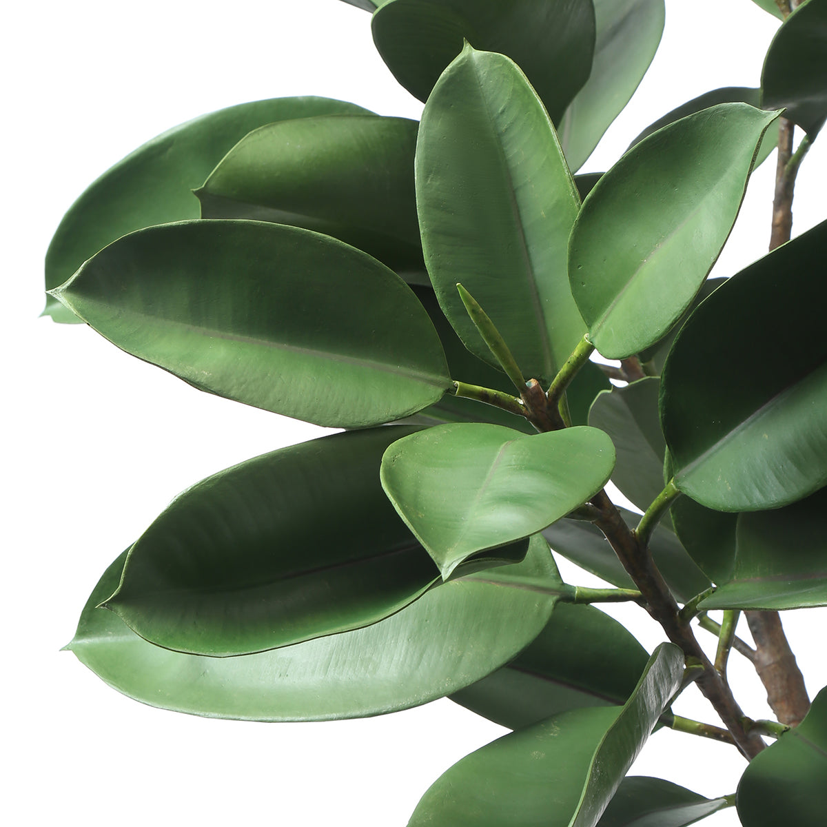 Sia Arbres artificiels Ficus en pot 165 cm vert