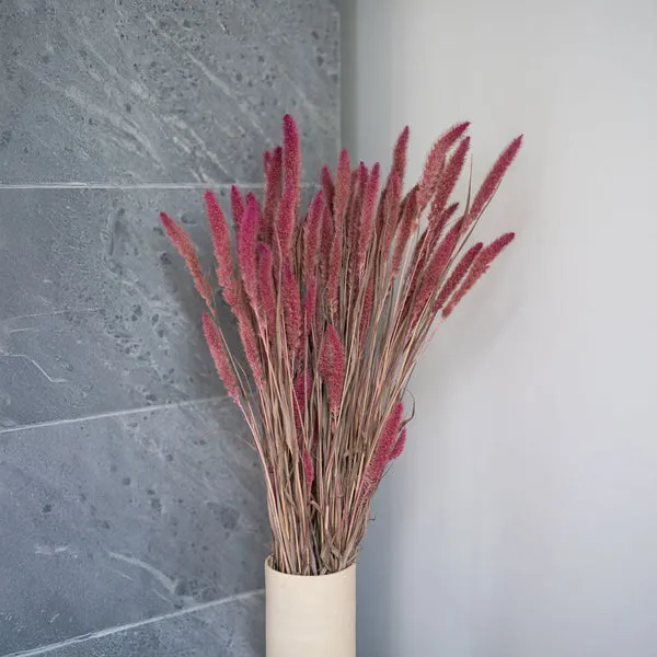 Flowrette Sétaire rose botte fleurs séchées poudré
