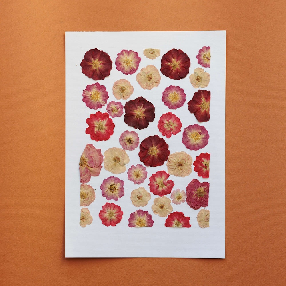 Flowrette Jardin des amoureux herbier fleurs A4