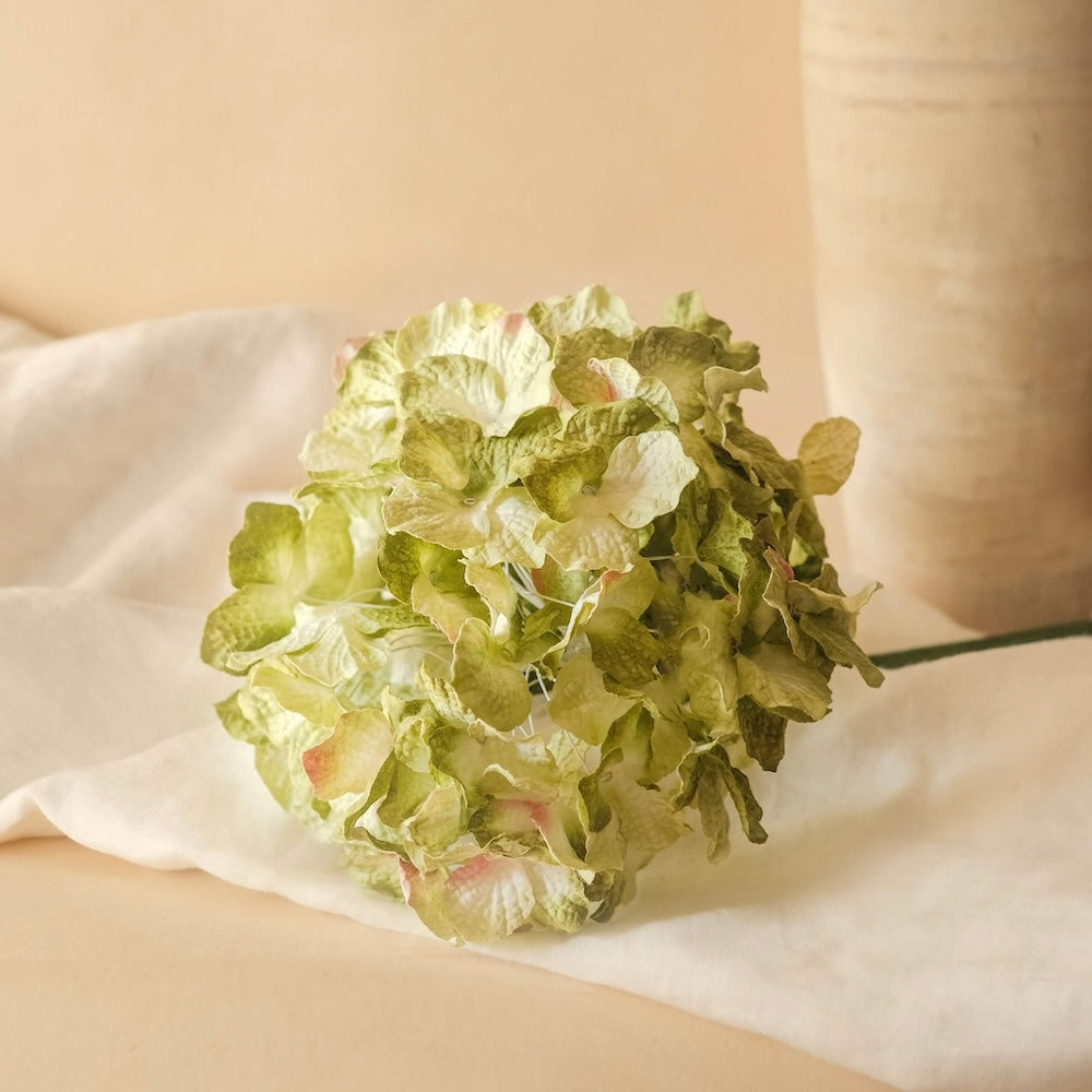 Flowrette grand hortensia papier vert x1 durable