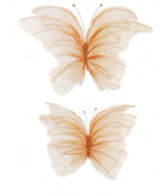 Feuillazur Rungis Papillon en nylon décoratif Bleu lot de 2