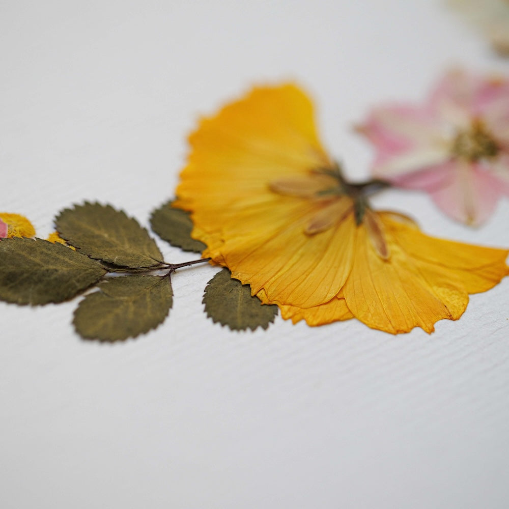 Flowrette Herbier Poésie des Saisons A4 pressé