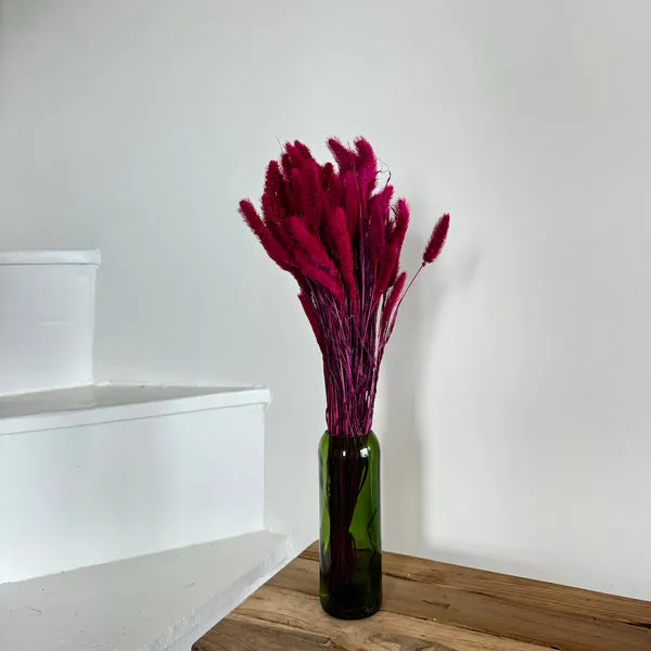 Flowrette Sétaire magenta botte fleurs séchées
