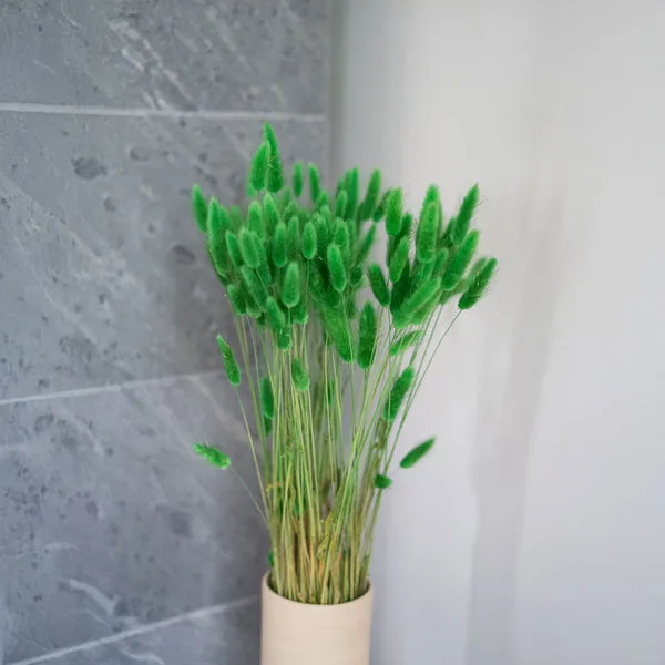 Flowrette Lagurus vert fleurs séchées botte douce