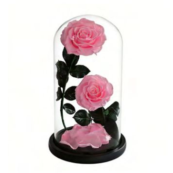 Feuillazur Rungis Duo sous cloche roses stabilisées rouge 17x32 cm