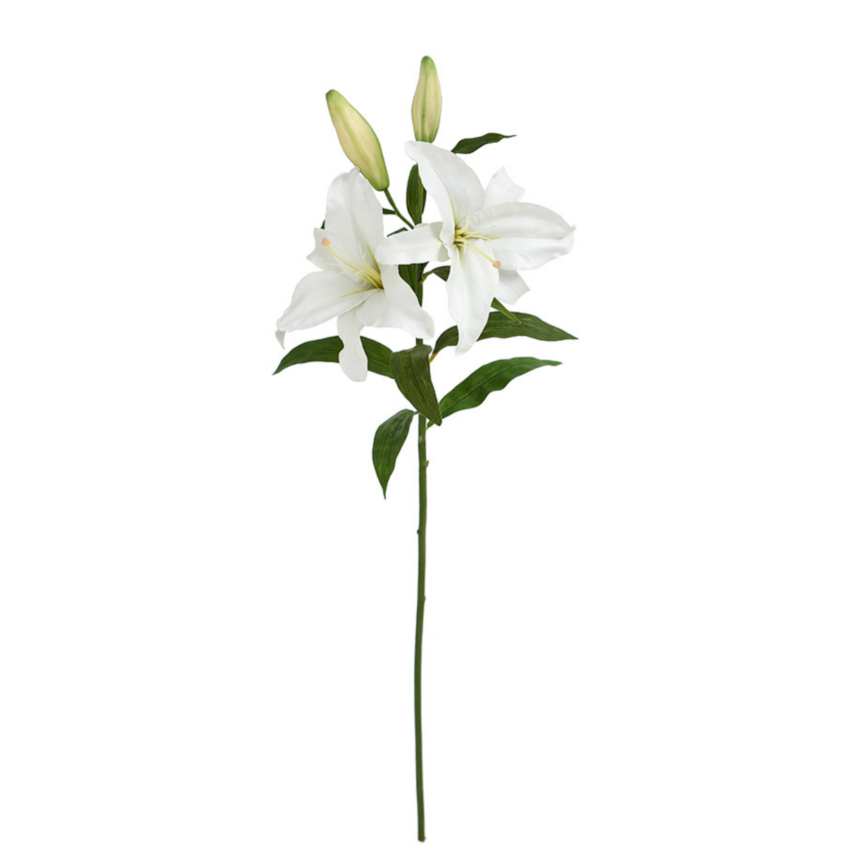 Sia Home Lys Casablanca tige 95 cm blanc
