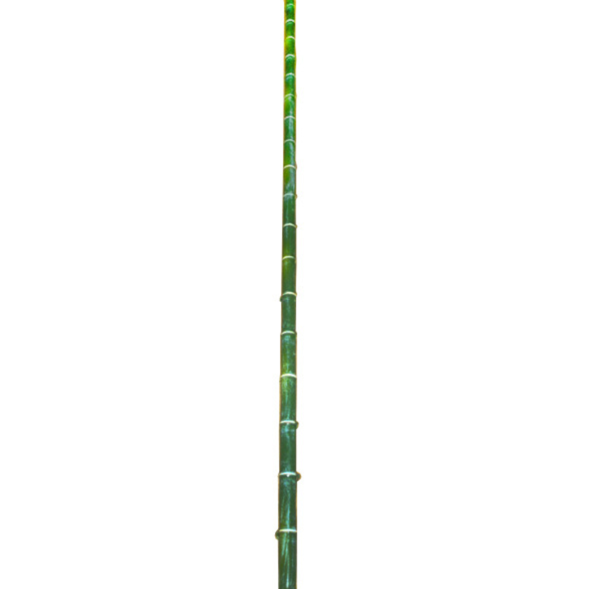 Sia Home Bambou branche artificielle vert 140 cm