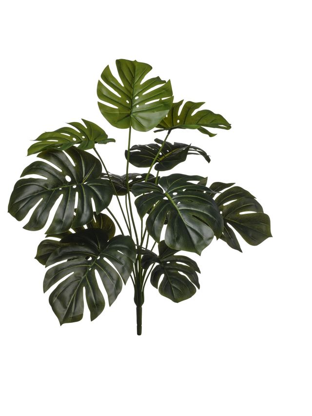 Feuillazur Rungis Branche Monstera Vert 60cm Feuillage