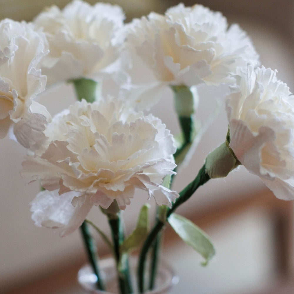 Flowrette Fleurs en papier Oeillet blanc fleur x1 éternelle