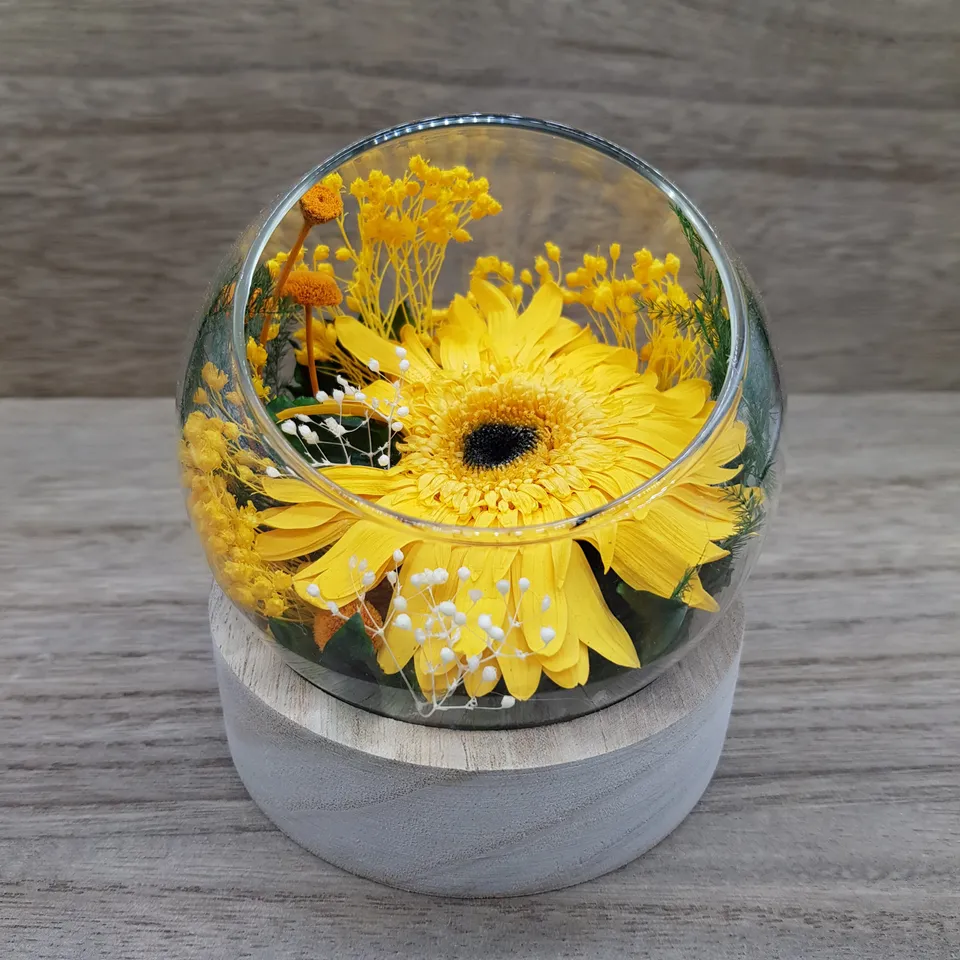 Ateliers Ouchamp Bulles Place du Venezuela bulle gerbera blanc S