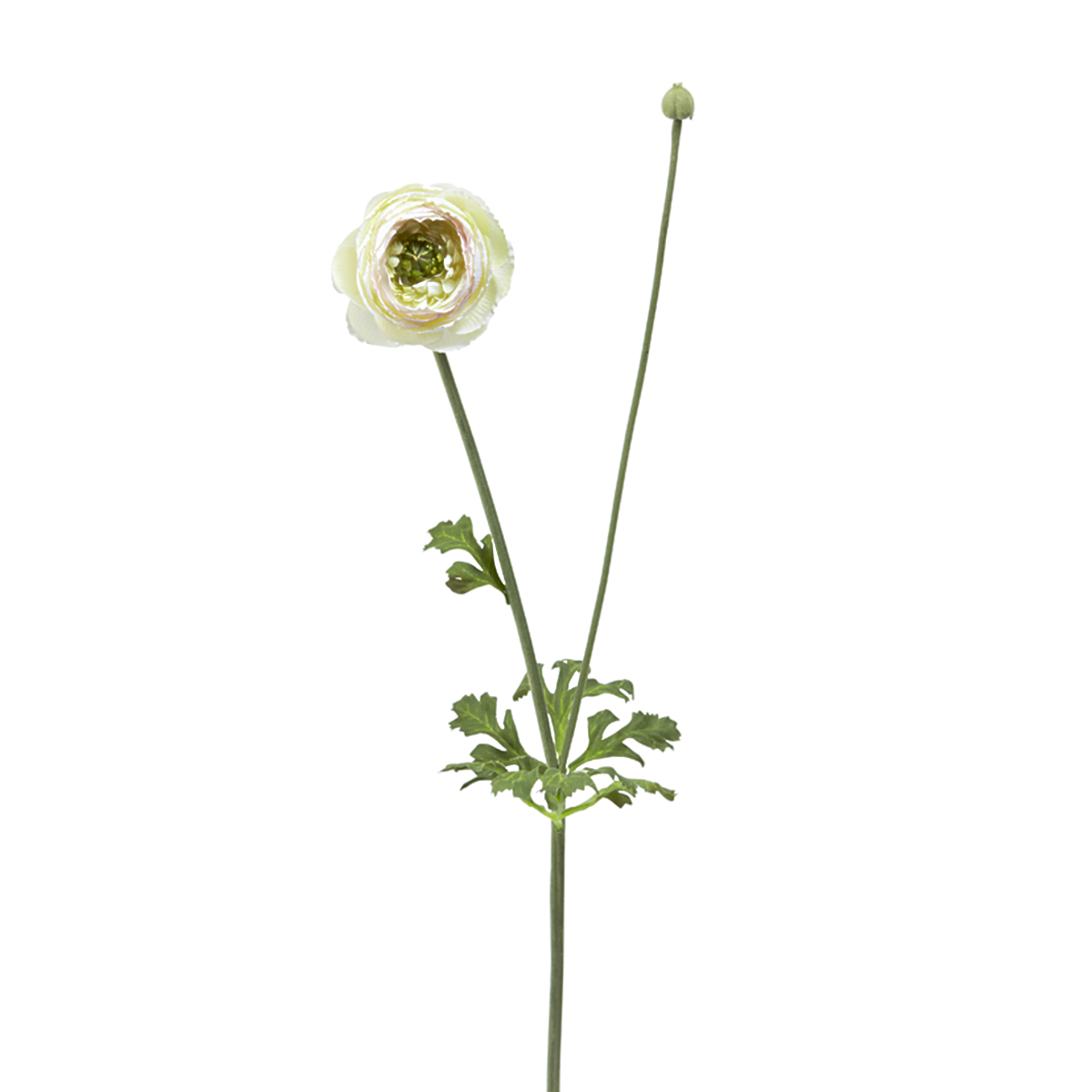Sia Home Renoncule tige artificielle rose bourgeon 56 cm
