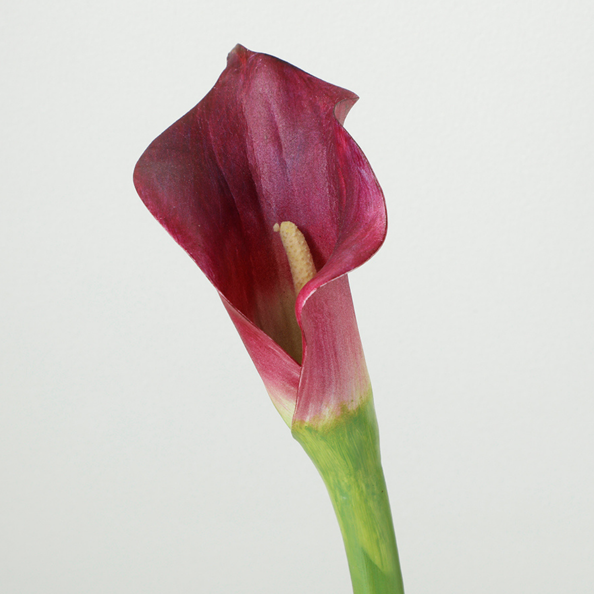 Sia Home Arum spathe court Premium blanc 75 cm tige