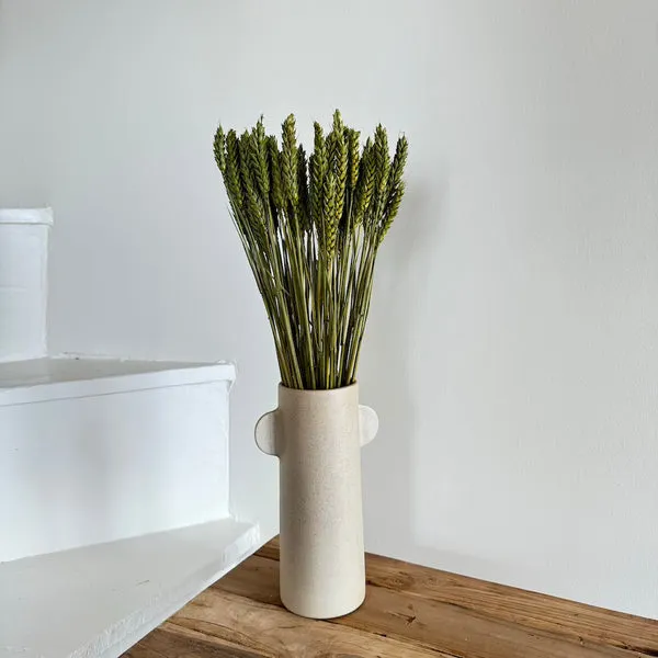 Flowrette Fleurs séchées botte blé séché vert olive pour vase