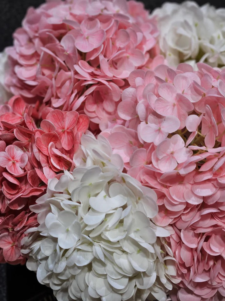 Côte Noire Provence PHB02L bouquet hortensias rose mixte large