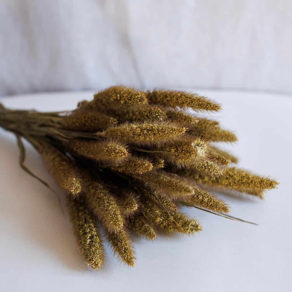 Flowrette botte sétaire naturelle séchée x1 champêtre