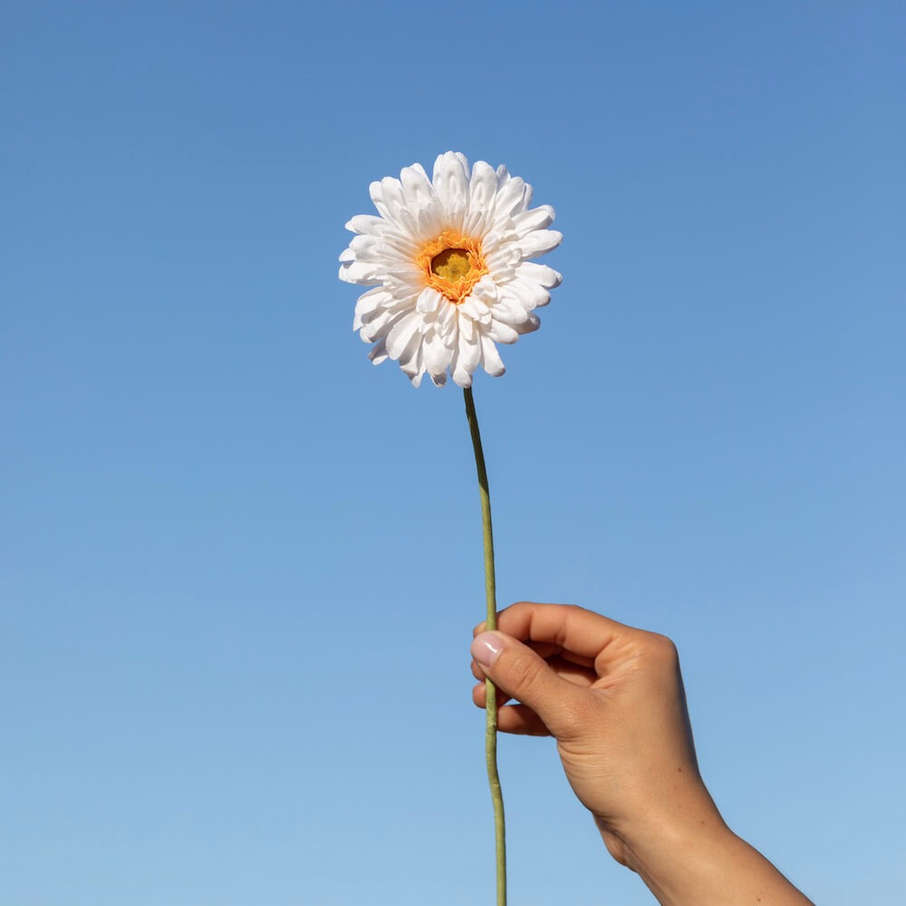 Flowrette Gerbera fleur papier blanche x1