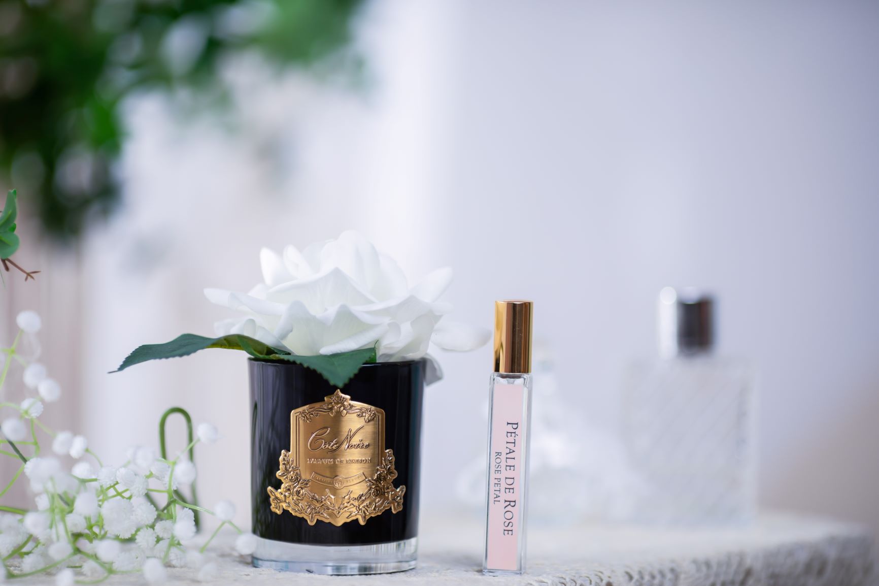 Côte Noire Single Rose GMRB01 fleur parfumée ivoire noir