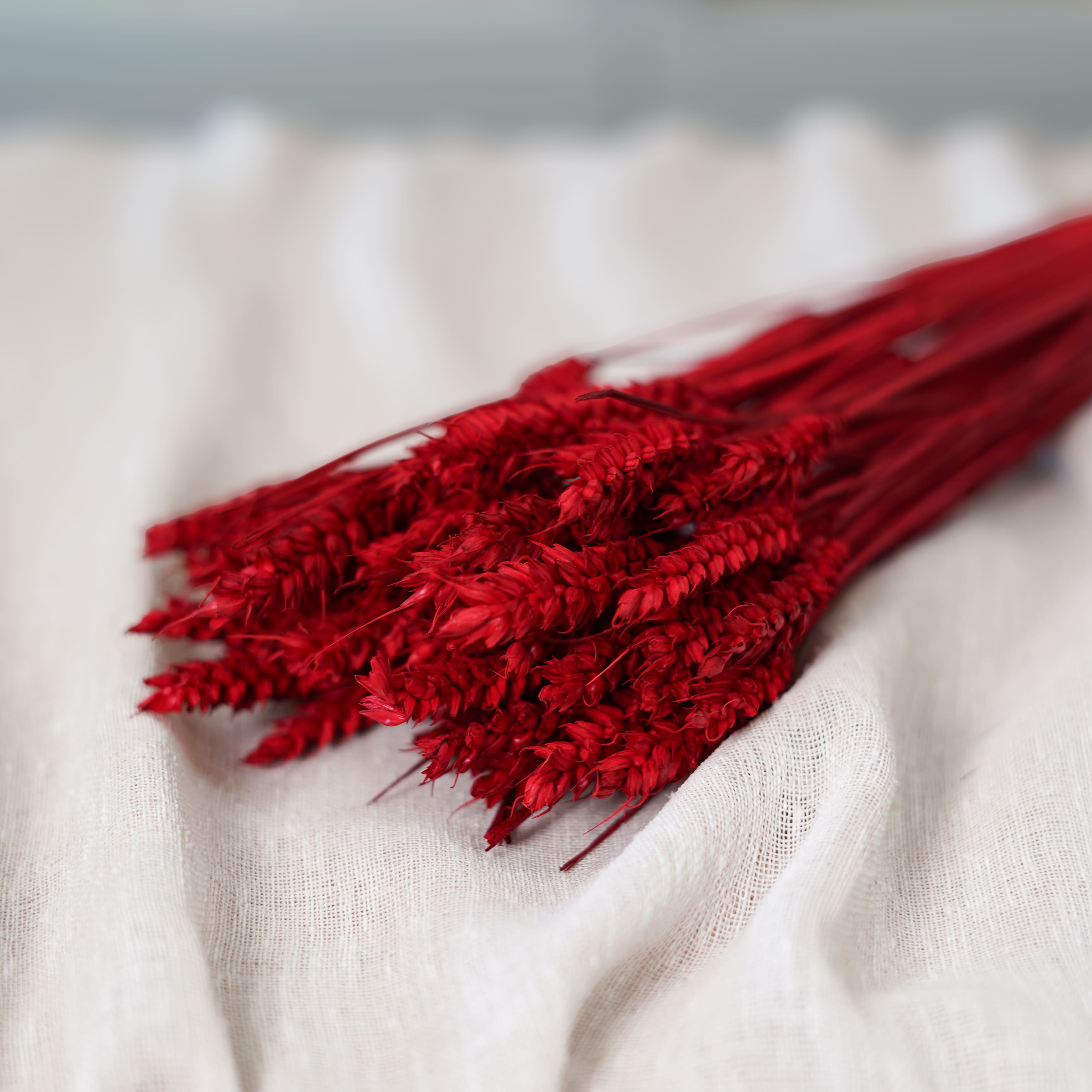 Flowrette Botte Blé rouge fleur séchée x1 champêtre