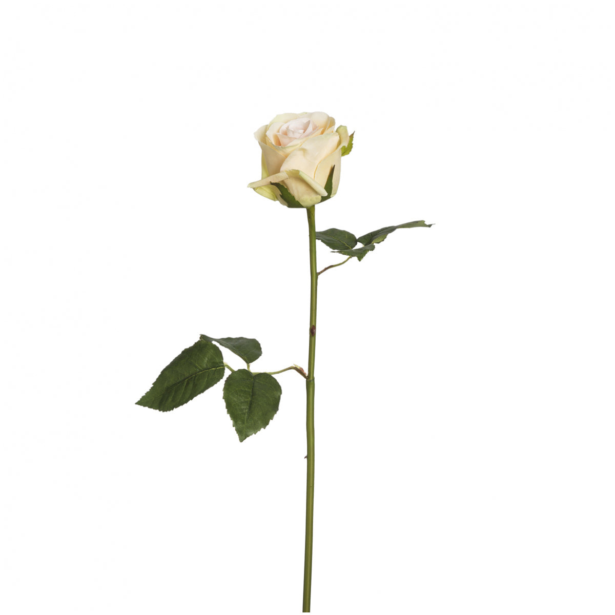 Sia Diane tige rose artificielle 53 cm crème
