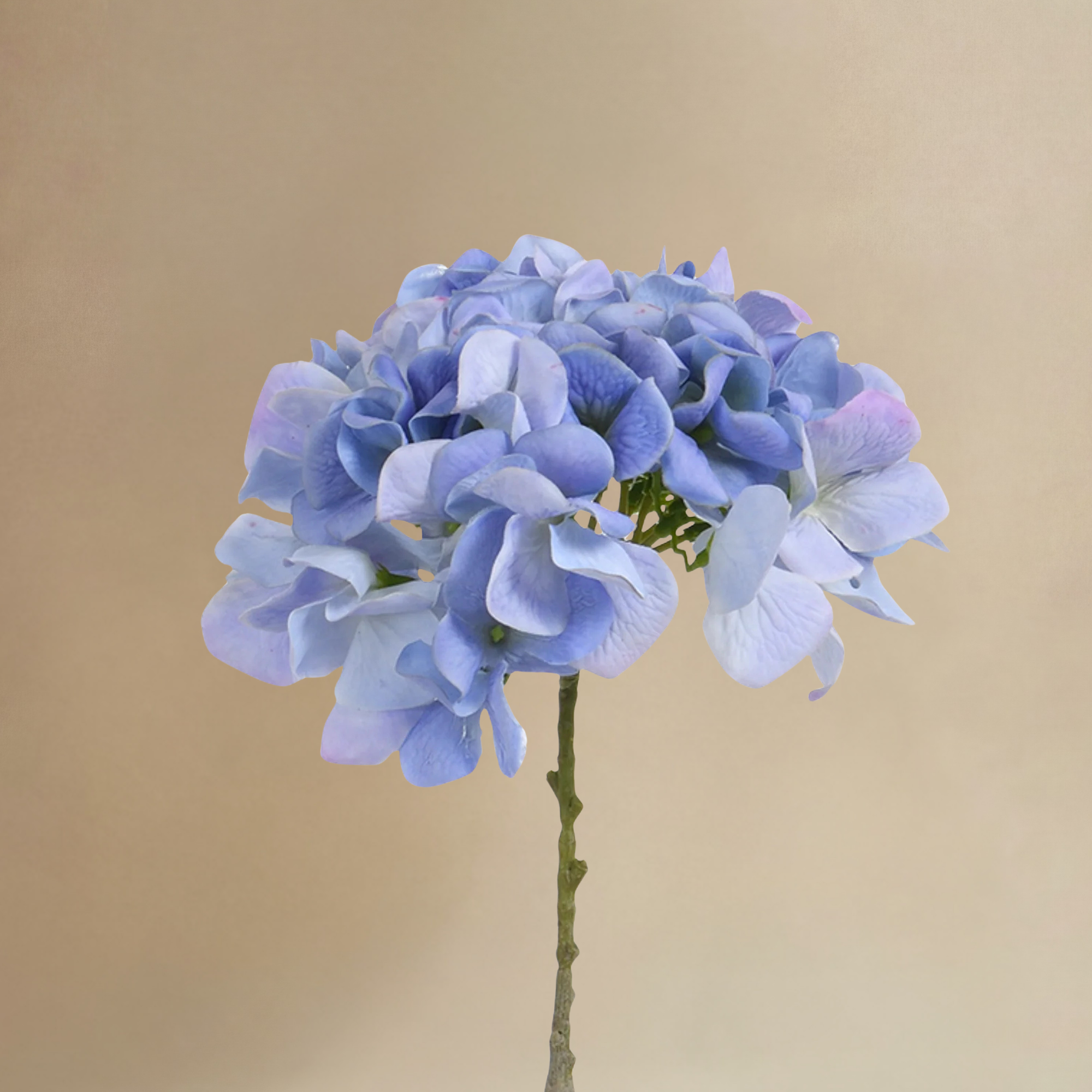 Sia Home Hortensia bouquet artificiel bleu 9 tiges 63cm