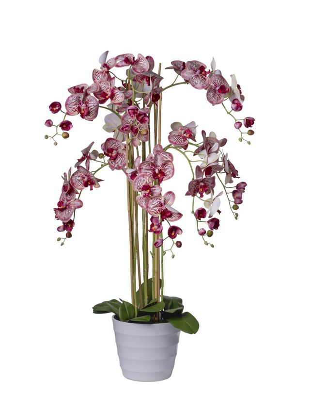 Feuillazur Rungis orchidées 8 branches artificielle 118cm
