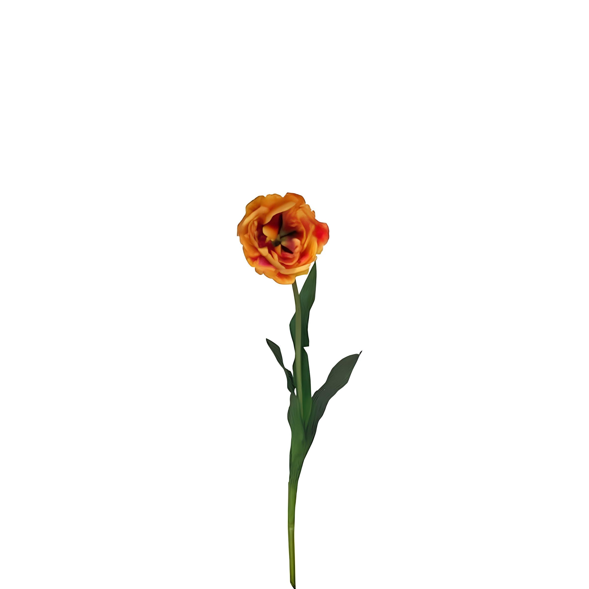 Sia Tige tulipe double artificielle rouge 70 cm