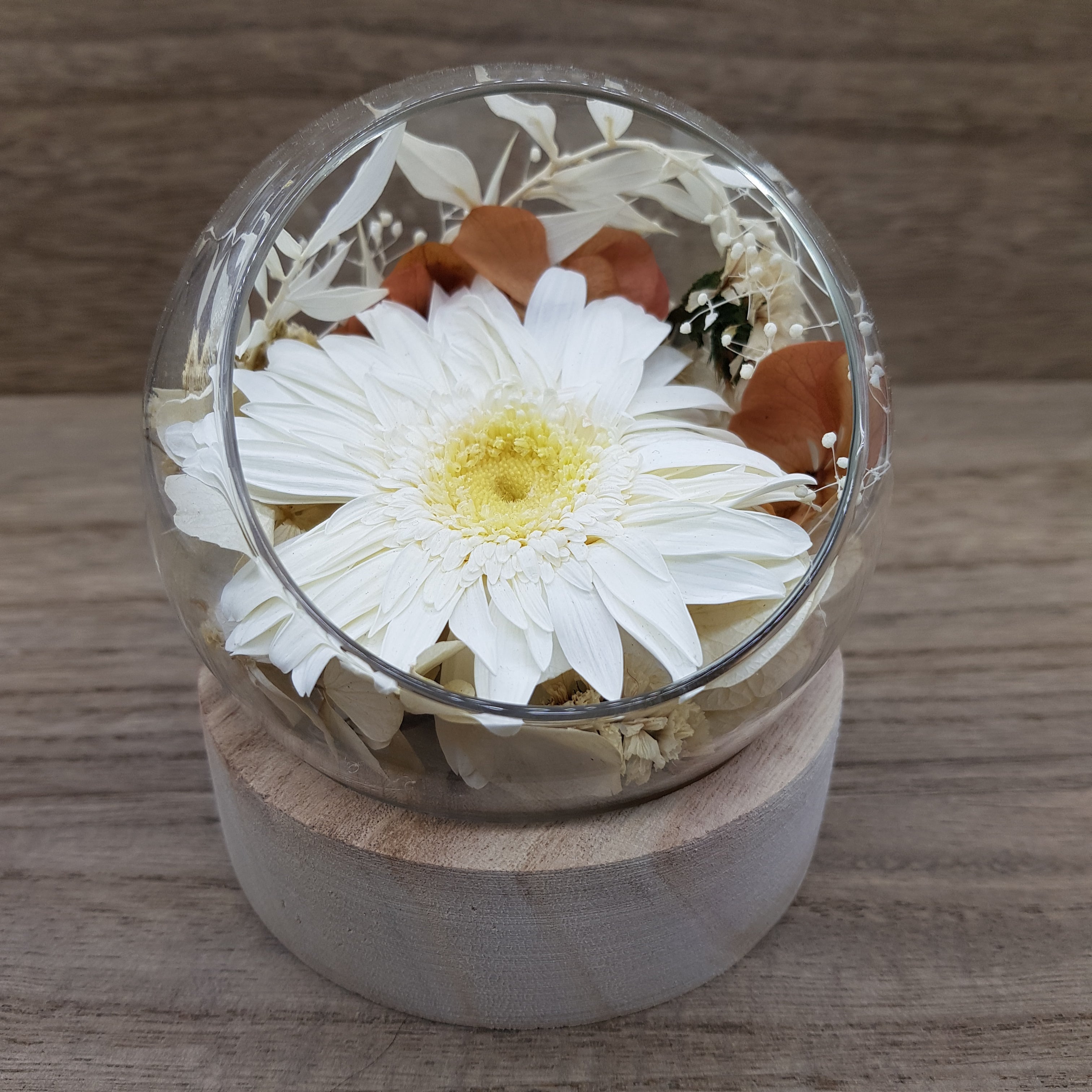 Ateliers Ouchamp Bulles Place du Venezuela bulle gerbera blanc S
